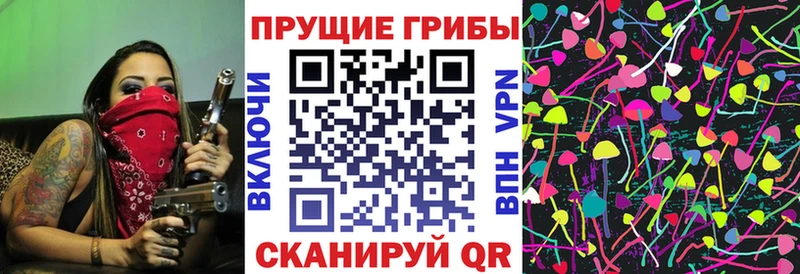 магазин продажи   Ачхой-Мартан  Псилоцибиновые грибы Cubensis 